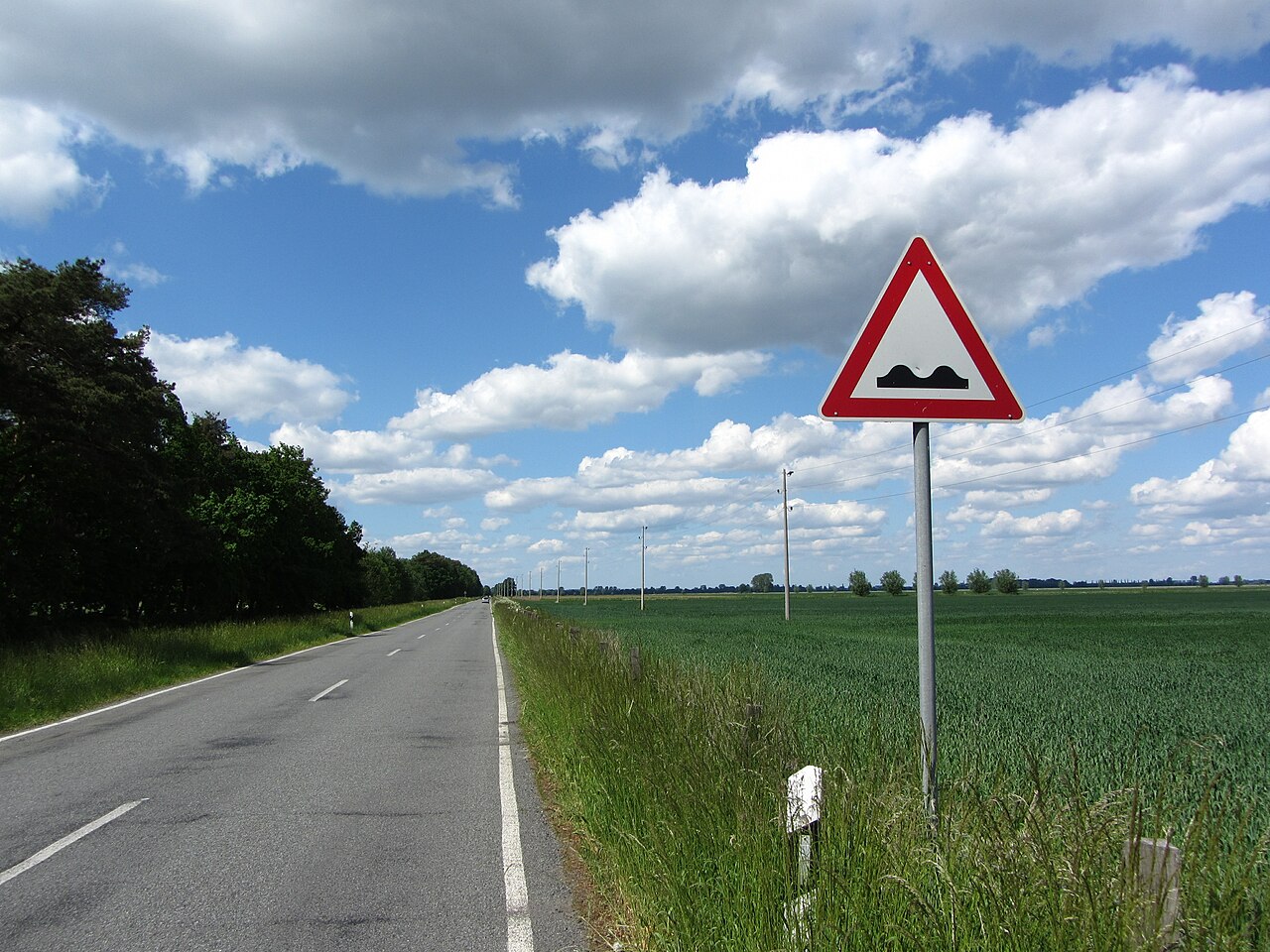 Superficie de la carretera